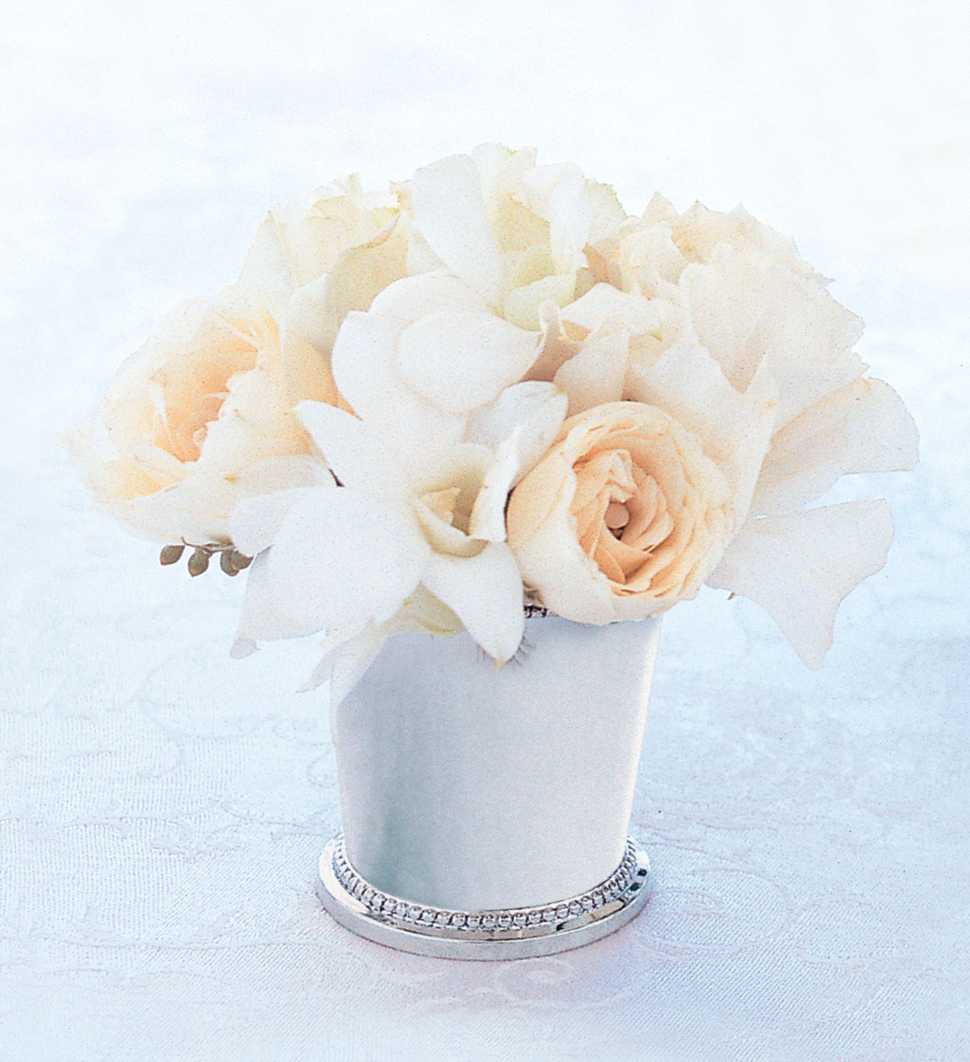 Ivory Julep Cup in West Hills&nbsp;CA, Flowers On the Hills