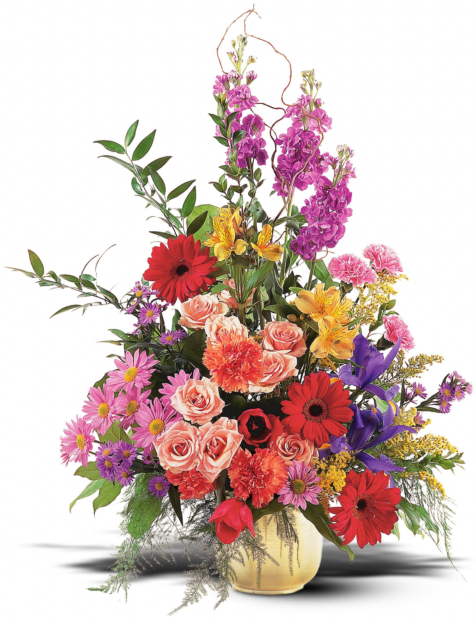 Colorful Comfort Flowers