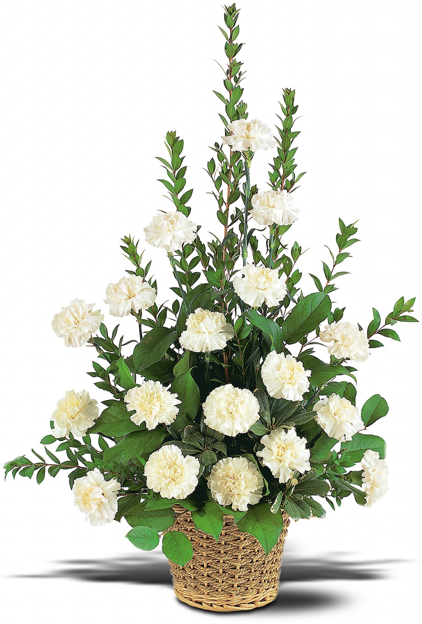 White Simplicity Basket in Franklin Square&nbsp;NY, Phil-Amy Florist