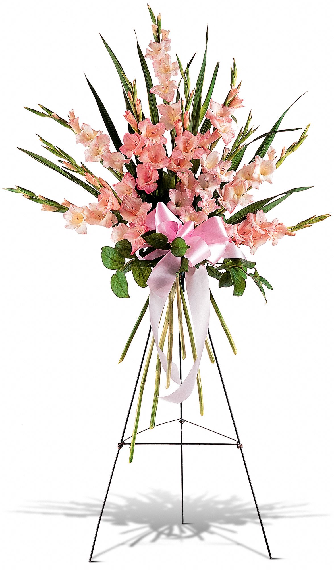 Sentimental Gladioli Spray in A CA FlowerShopping.com