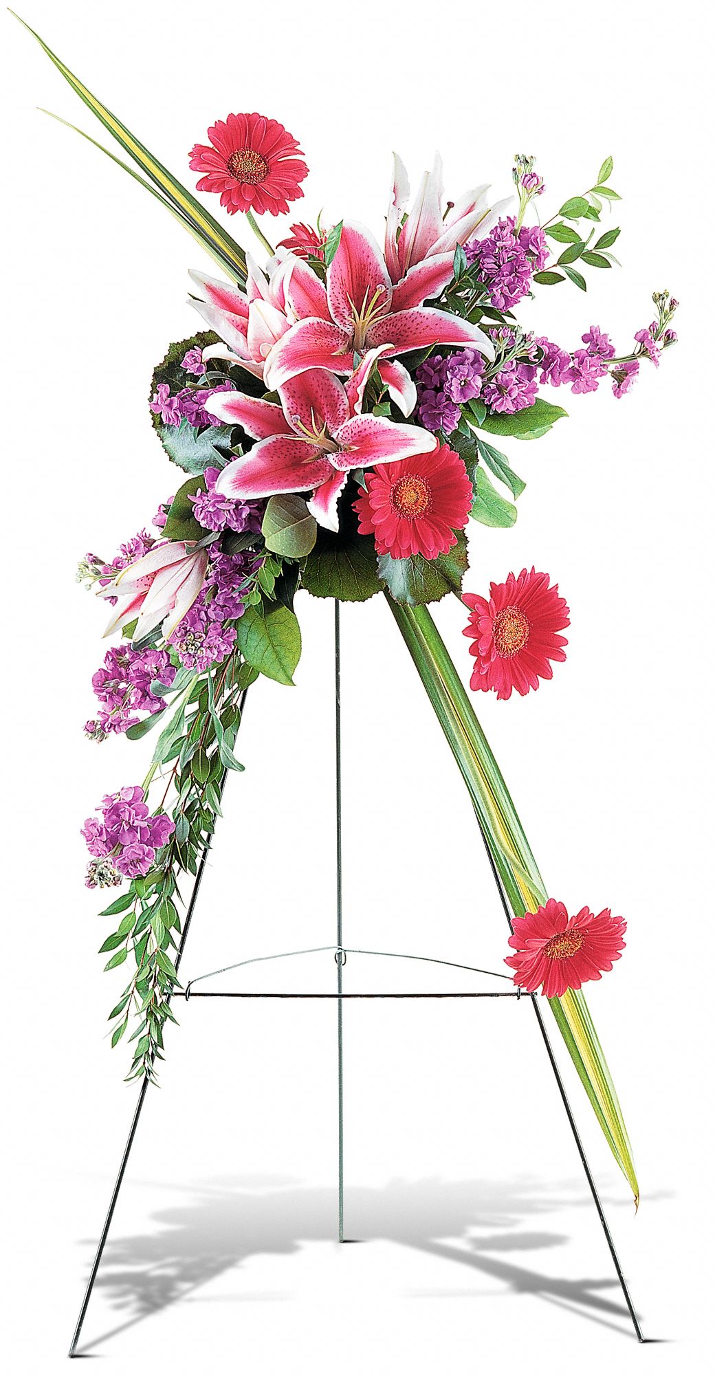 Stargazer Lily and Gerbera Spray graphic