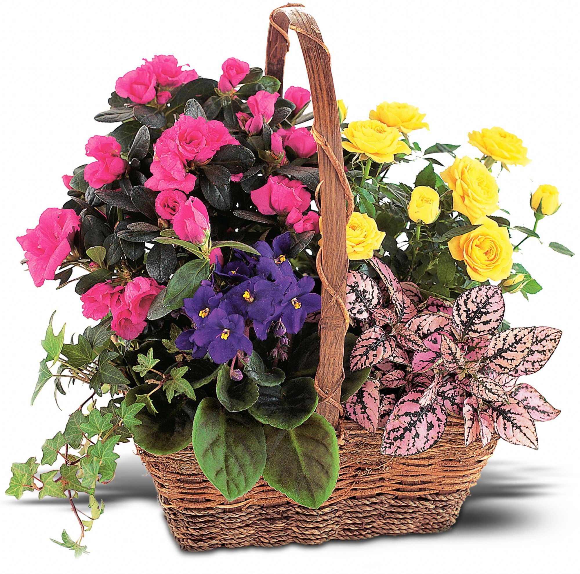 Blooming Garden Basket graphic