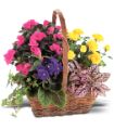 Blooming Garden Basket in Parma OH Ed Pawlak & Son Florists