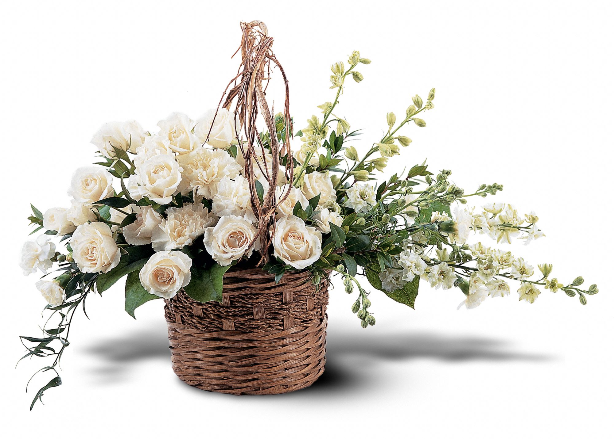 Basket of Light, picture