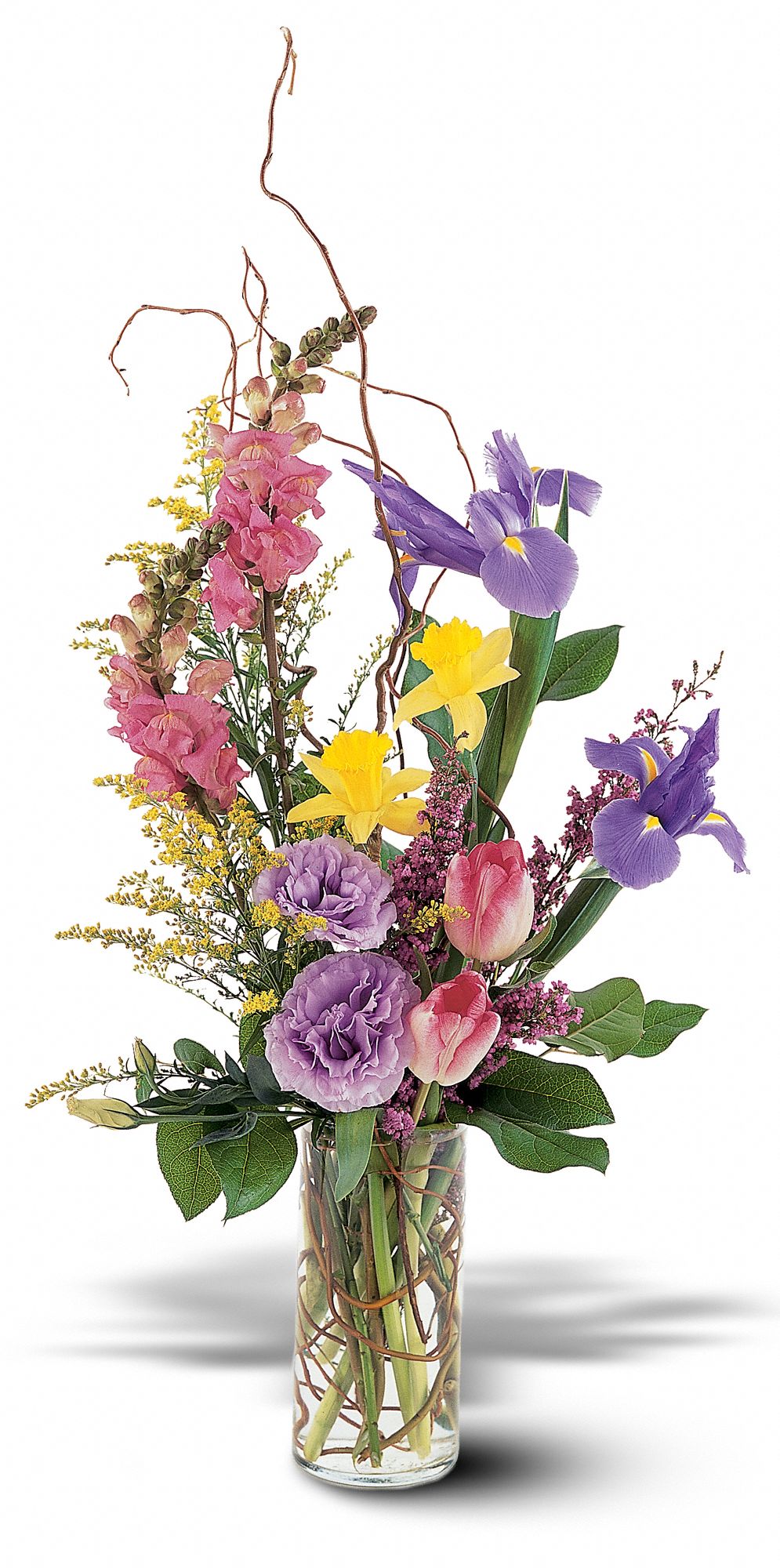 Spring Hope Vase graphic