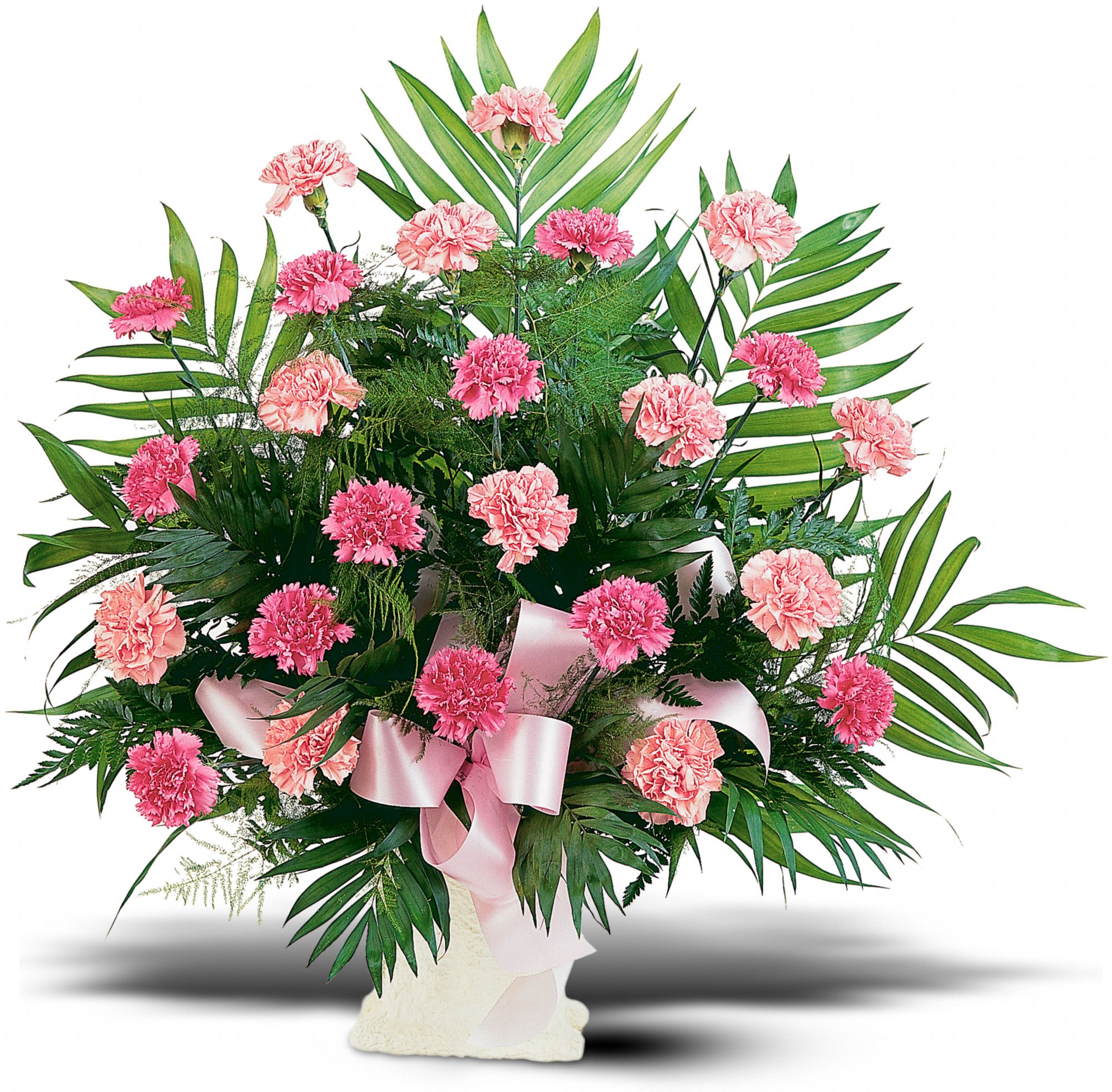 Classic Carnation Arrangement graphic