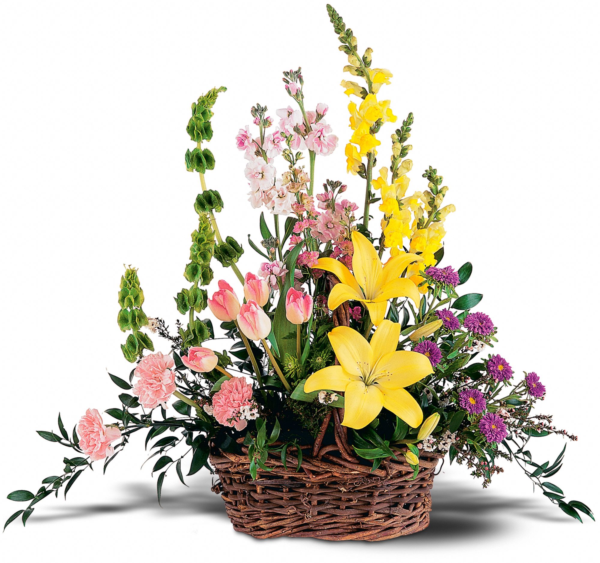 Springtime Basket in Franklin Square&nbsp;NY, Phil-Amy Florist