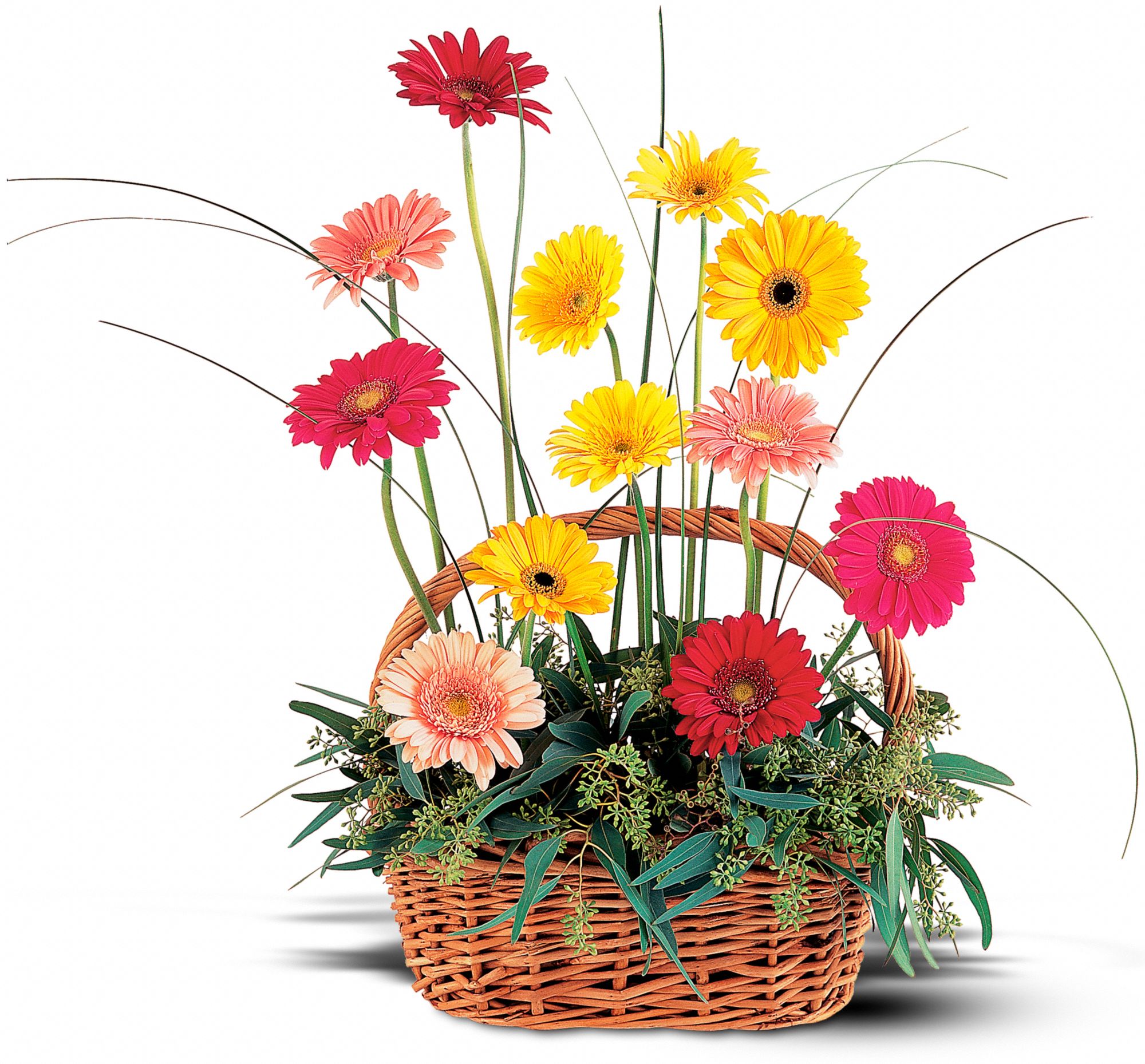 Uplifting Gerbera Basket - AFlowerPale.com