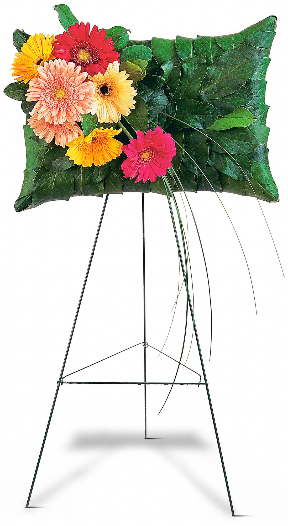 Uplifting Gerbera Pillow in West Hills&nbsp;CA, Flowers On the Hills