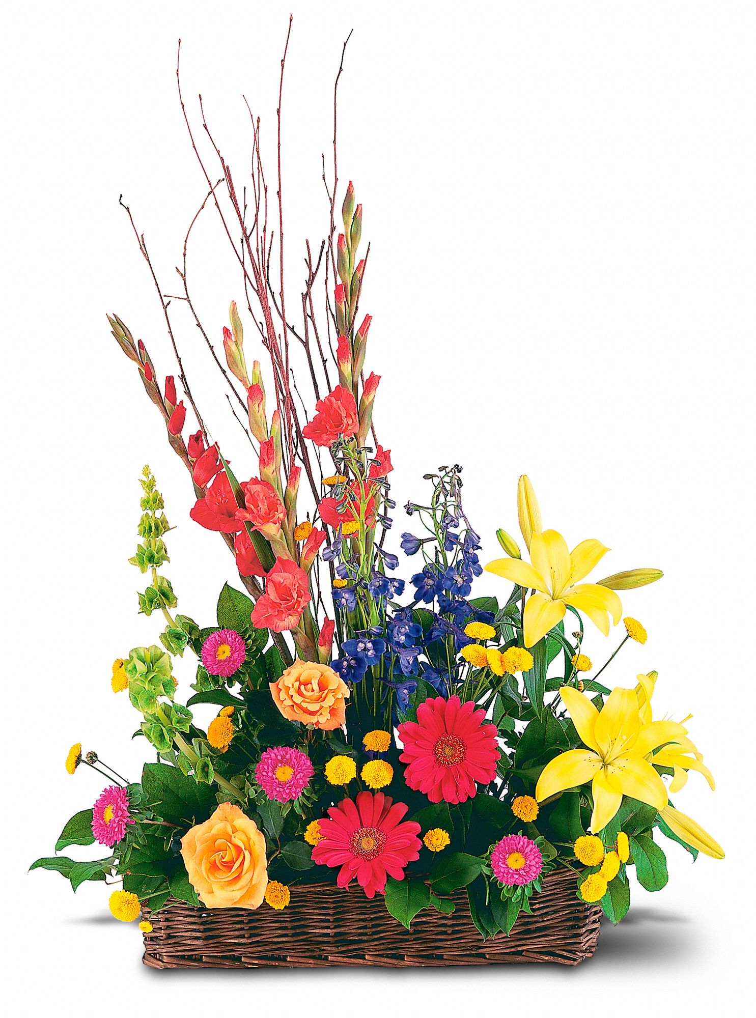 Sunshine Basket Flowers