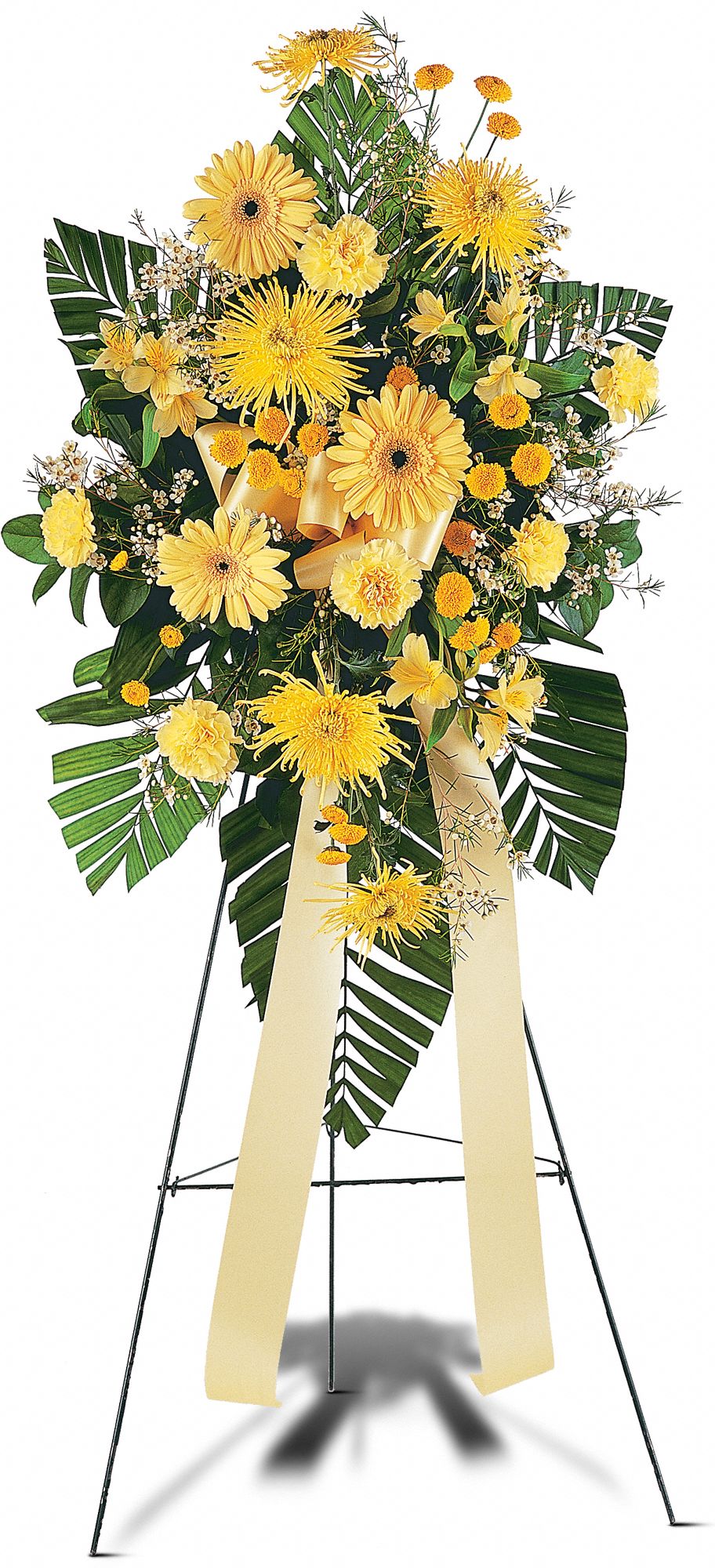 Brighter Blessings Spray, picture