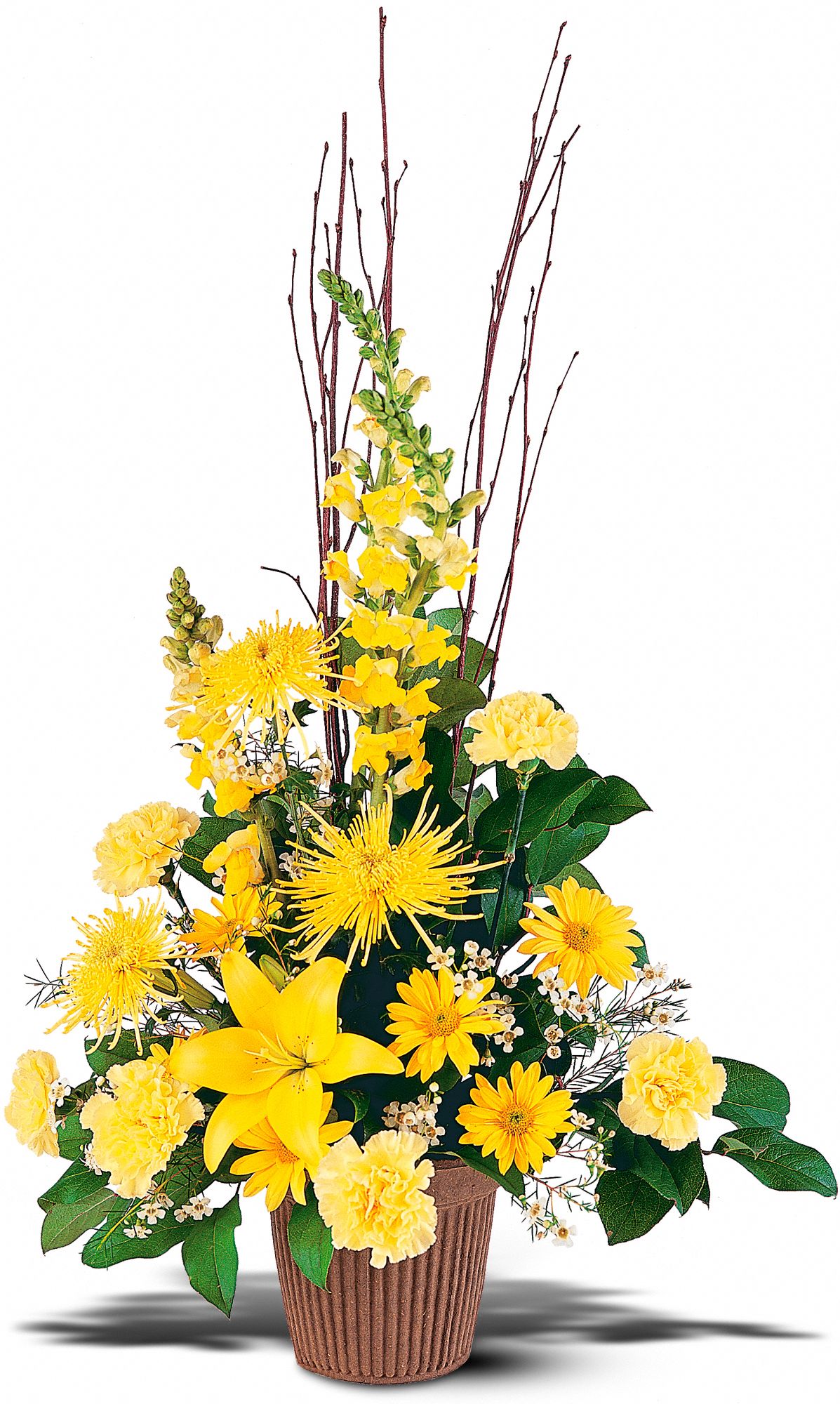 Brighter Blessings Arrangement in Knoxville TN Petree's Flowers, Inc.