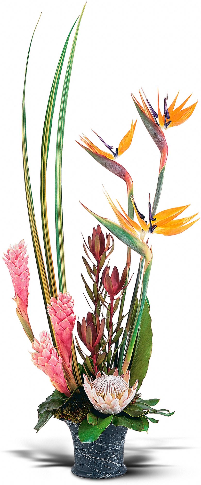 Tropical Paradise Arrangement in West Hills&nbsp;CA, Flowers On the Hills