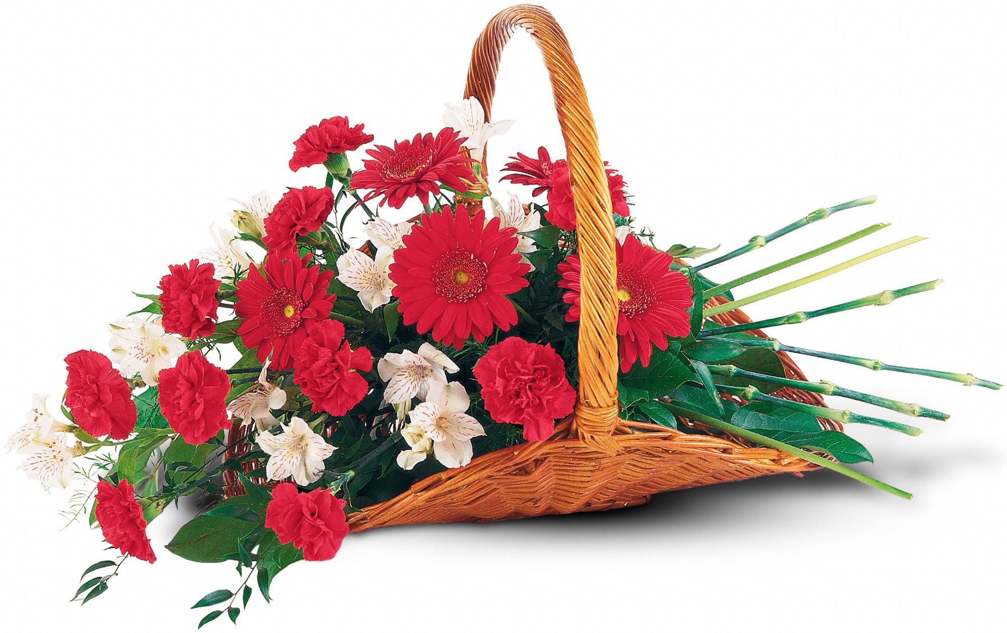 Basket of Comfort in West Hills&nbsp;CA, Flowers On the Hills