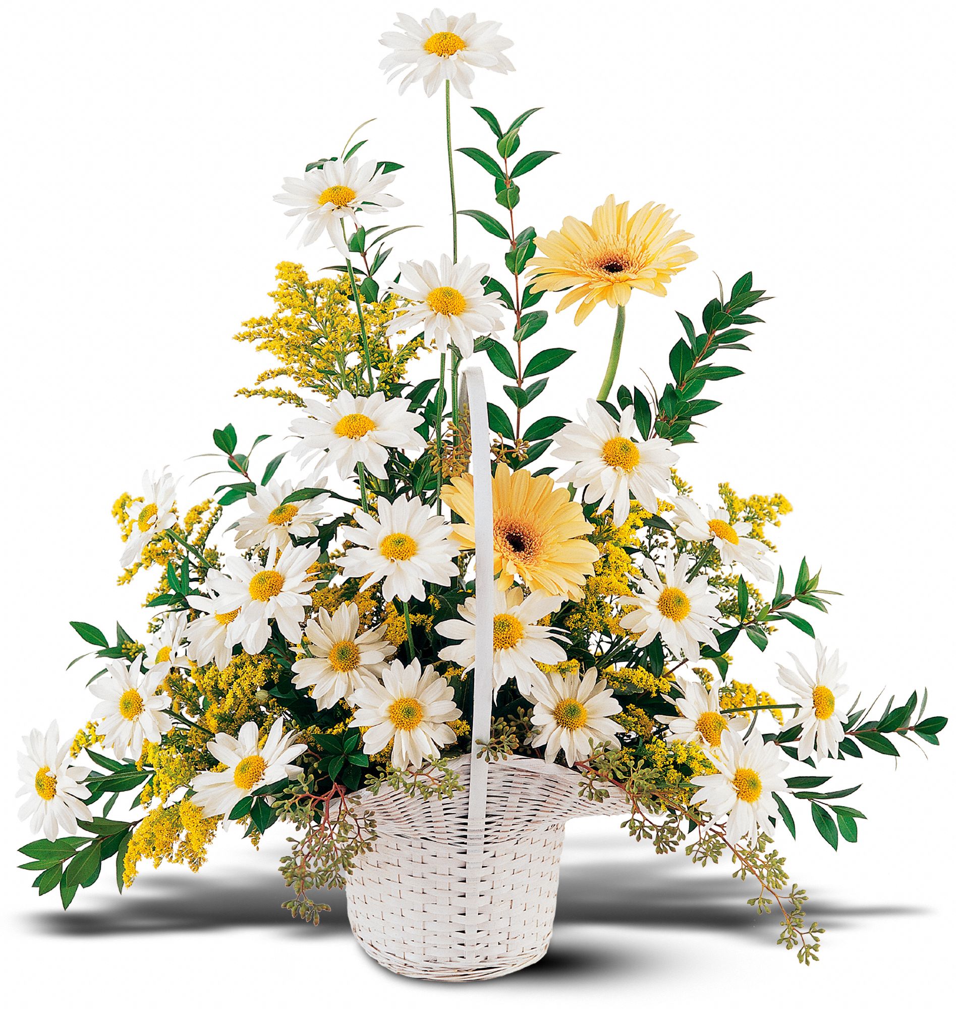 Drop of Sunshine Basket Flowers