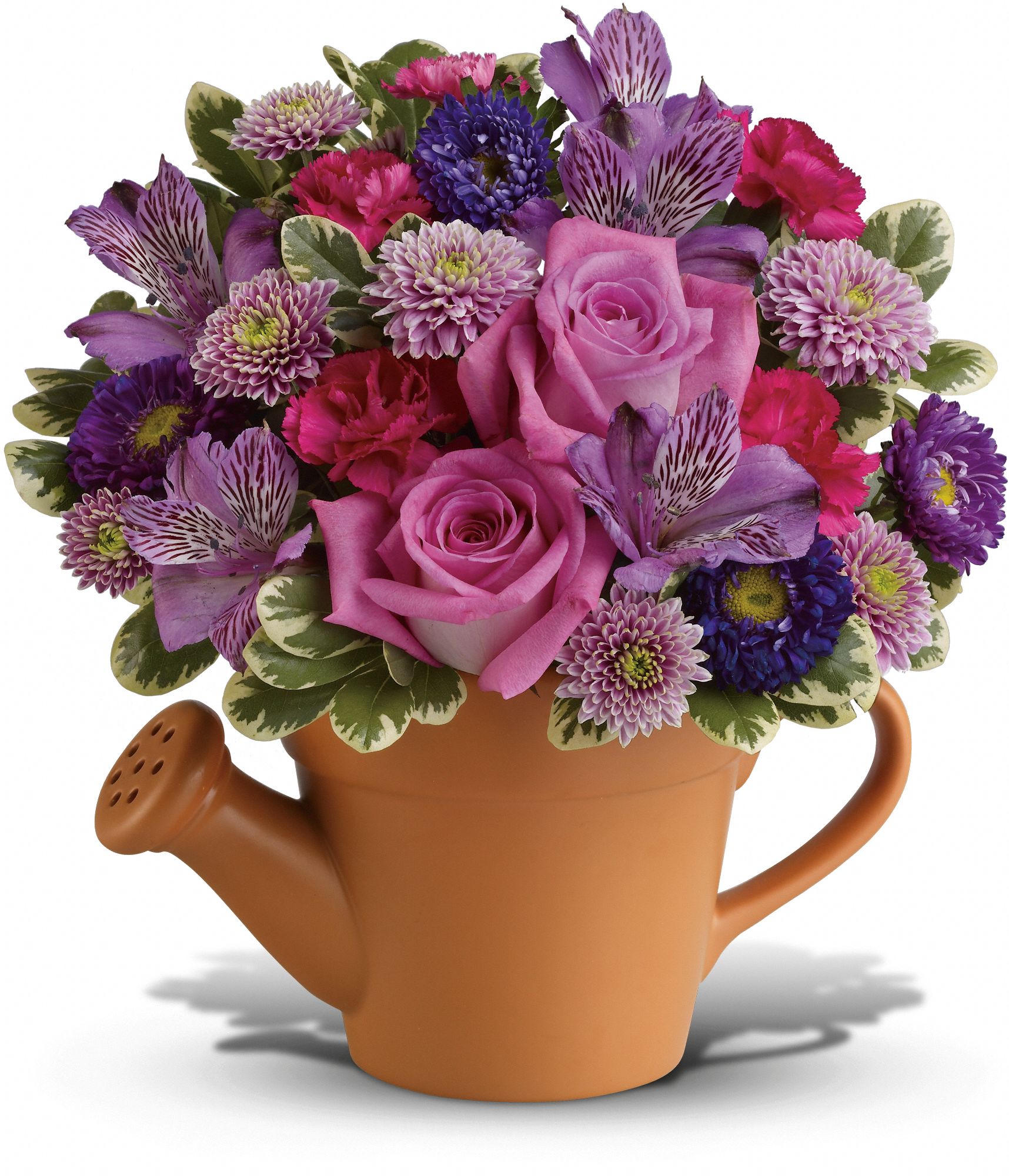 Teleflora's Flower Garden Bouquet Flowers