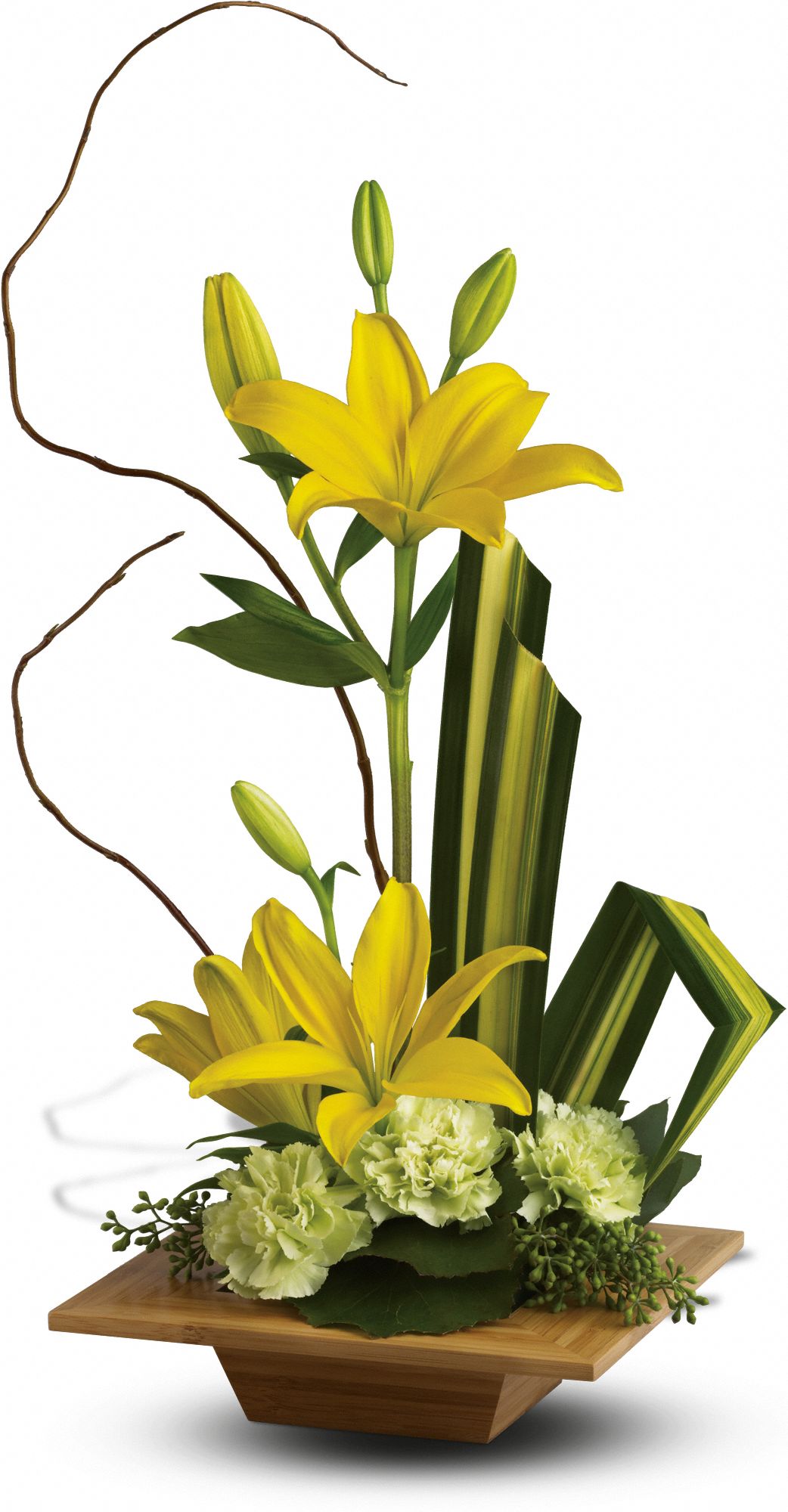 Teleflora's Bamboo Artistry Flowers