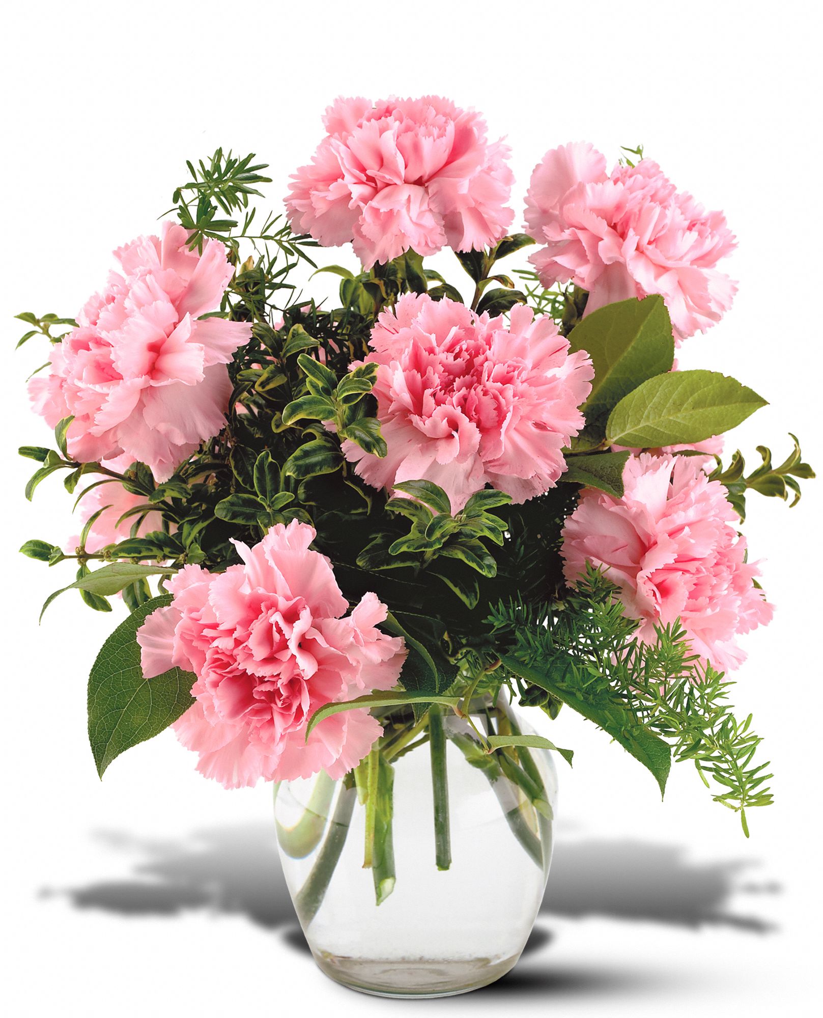 Teleflora's Pink Notion Vase in New Port Richey&nbsp;FL, Cottage Florist Of Trinity