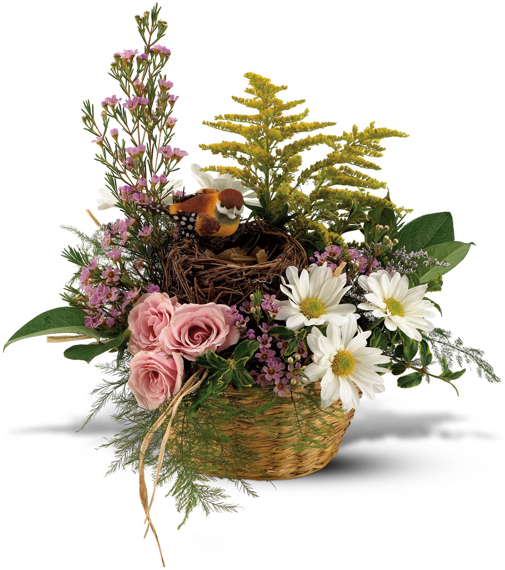 Teleflora's Nesting Basket in New Port Richey&nbsp;FL, Cottage Florist Of Trinity