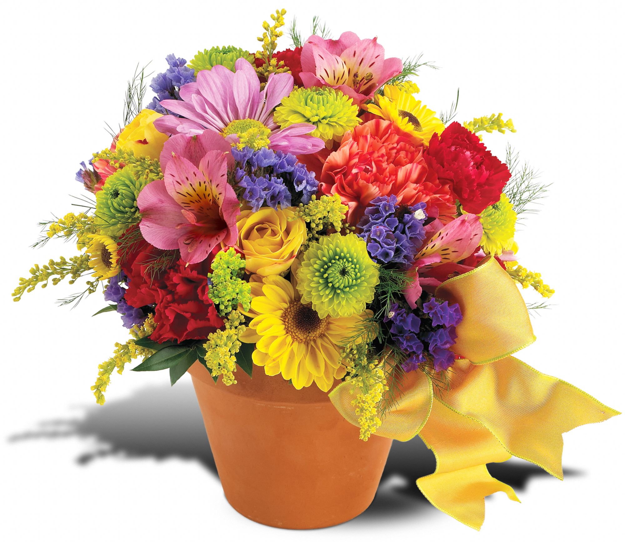 Teleflora's Fresh Blossom Potpourri, picture