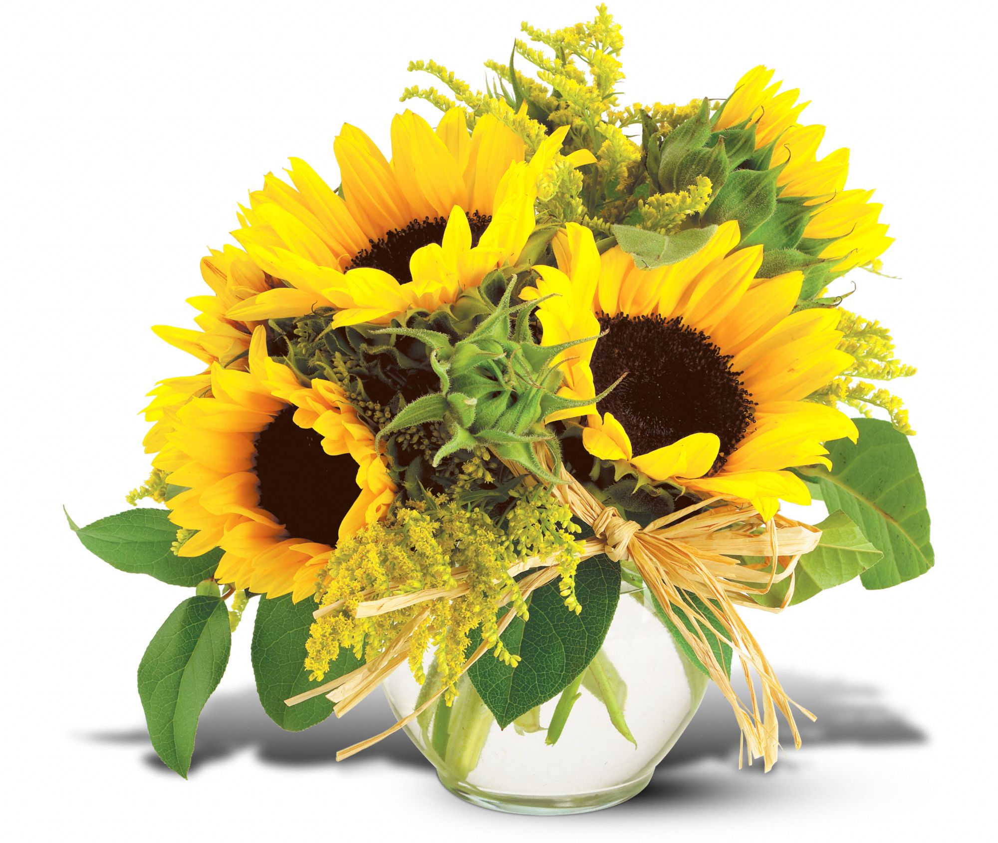 Teleflora's Sassy Sun Flowers