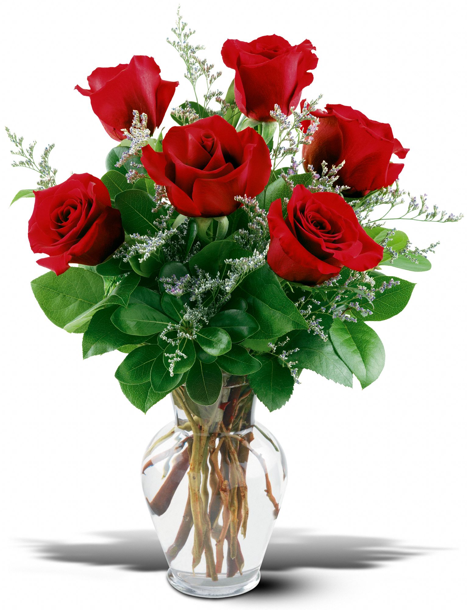 6 Red Roses