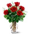 6 Red Roses in Parma OH Ed Pawlak & Son Florists