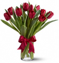 Teleflora's Radiantly Red Tulips Flowers