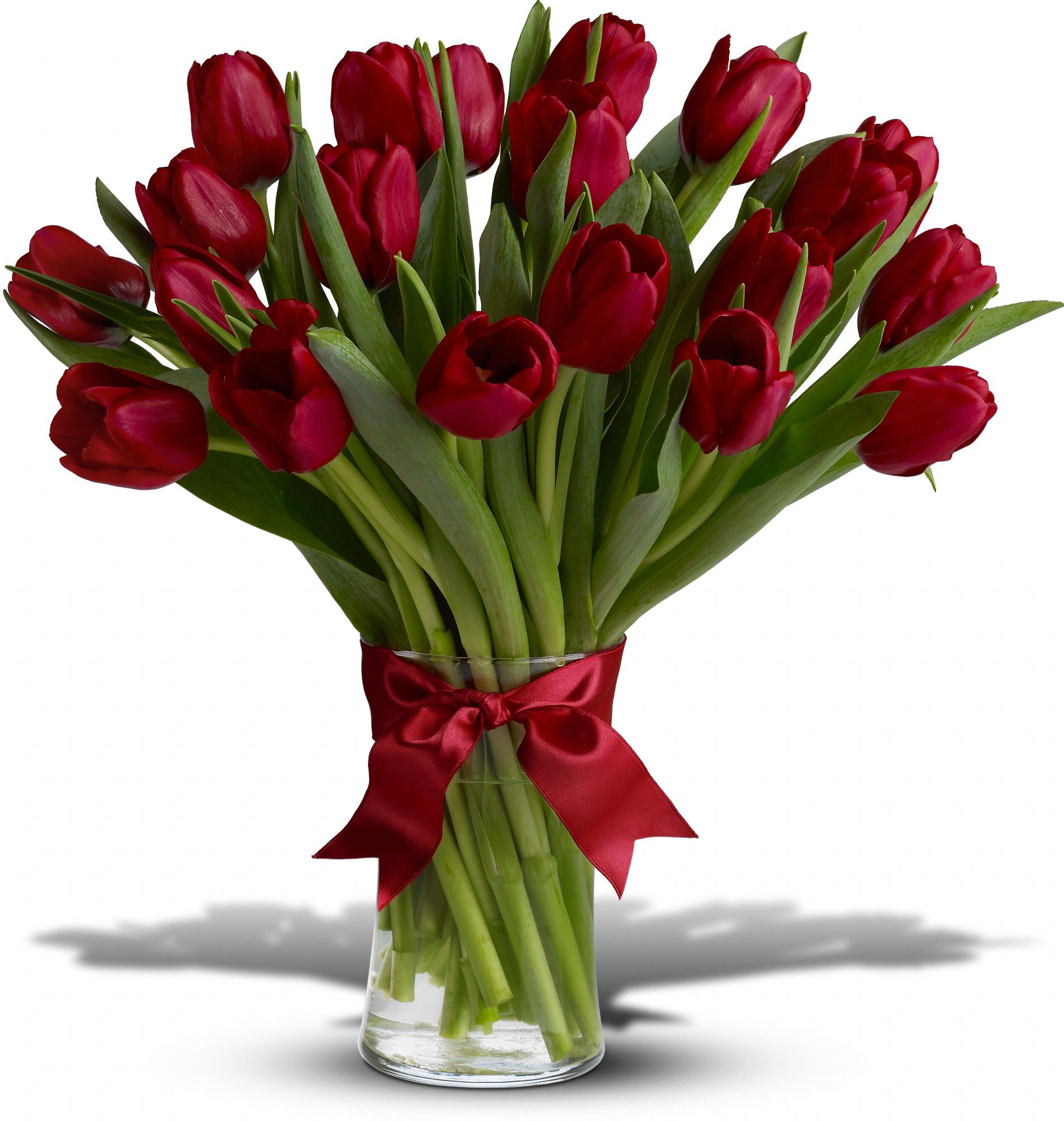 Teleflora's Radiantly Red Tulips Flowers