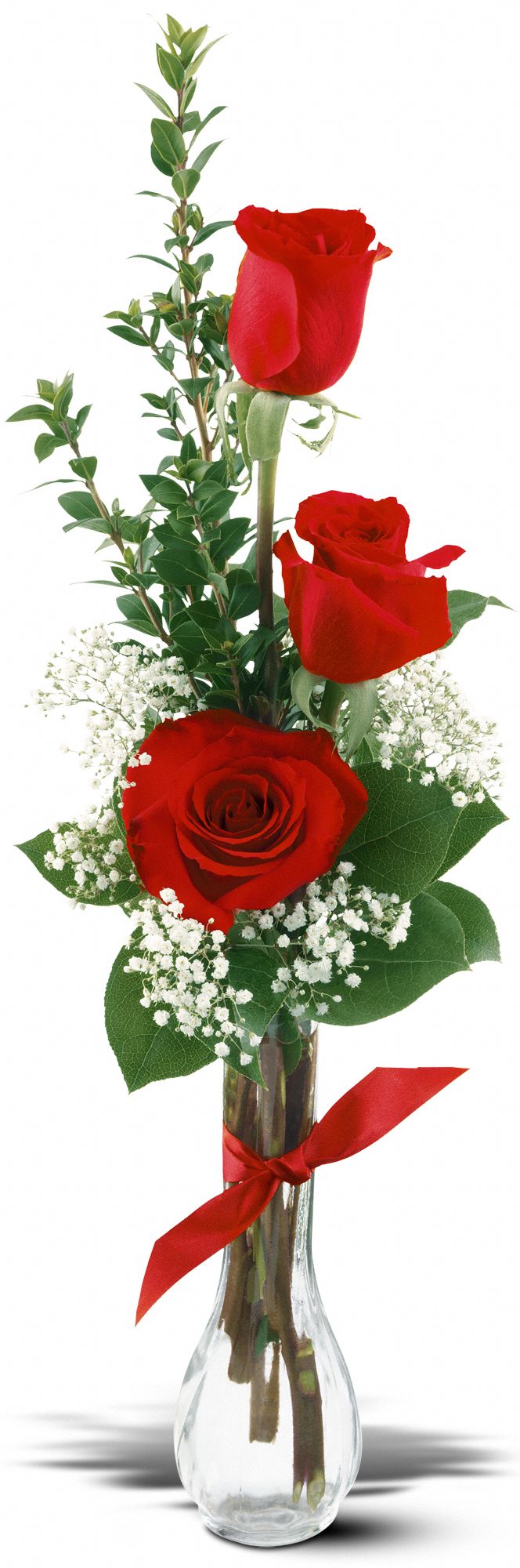 3 Red Roses