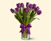 Martin Flowers, Birmingham, Alabama - Spring Tulips - Purple, picture