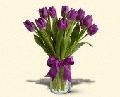 Martin Flowers, Birmingham, Alabama - Spring Tulips - Purple, picture