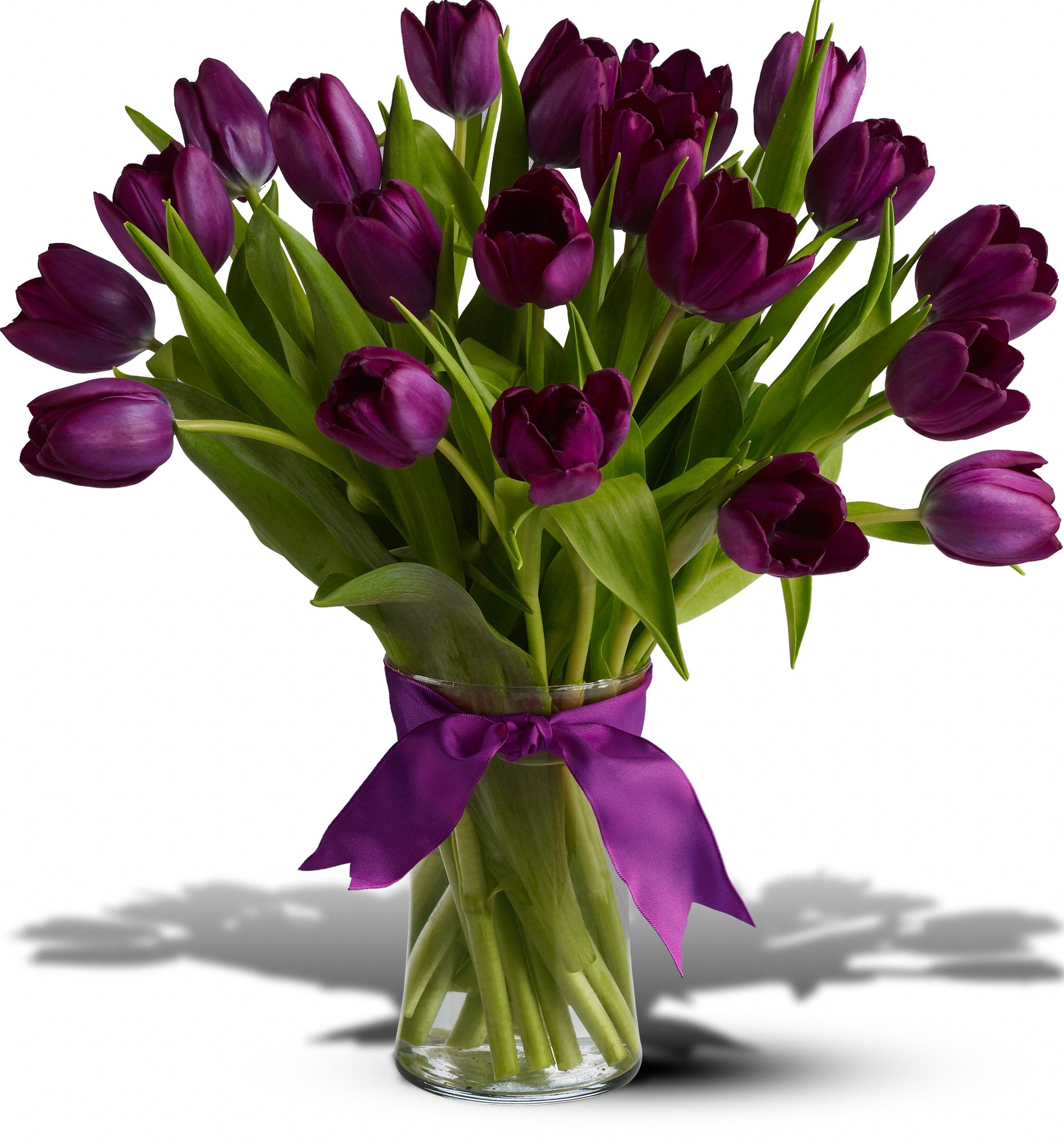 Spring Tulips Deluxe - Purple graphic
