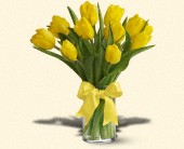 Martin Flowers, Birmingham, Alabama - Spring Tulips - Yellow, picture