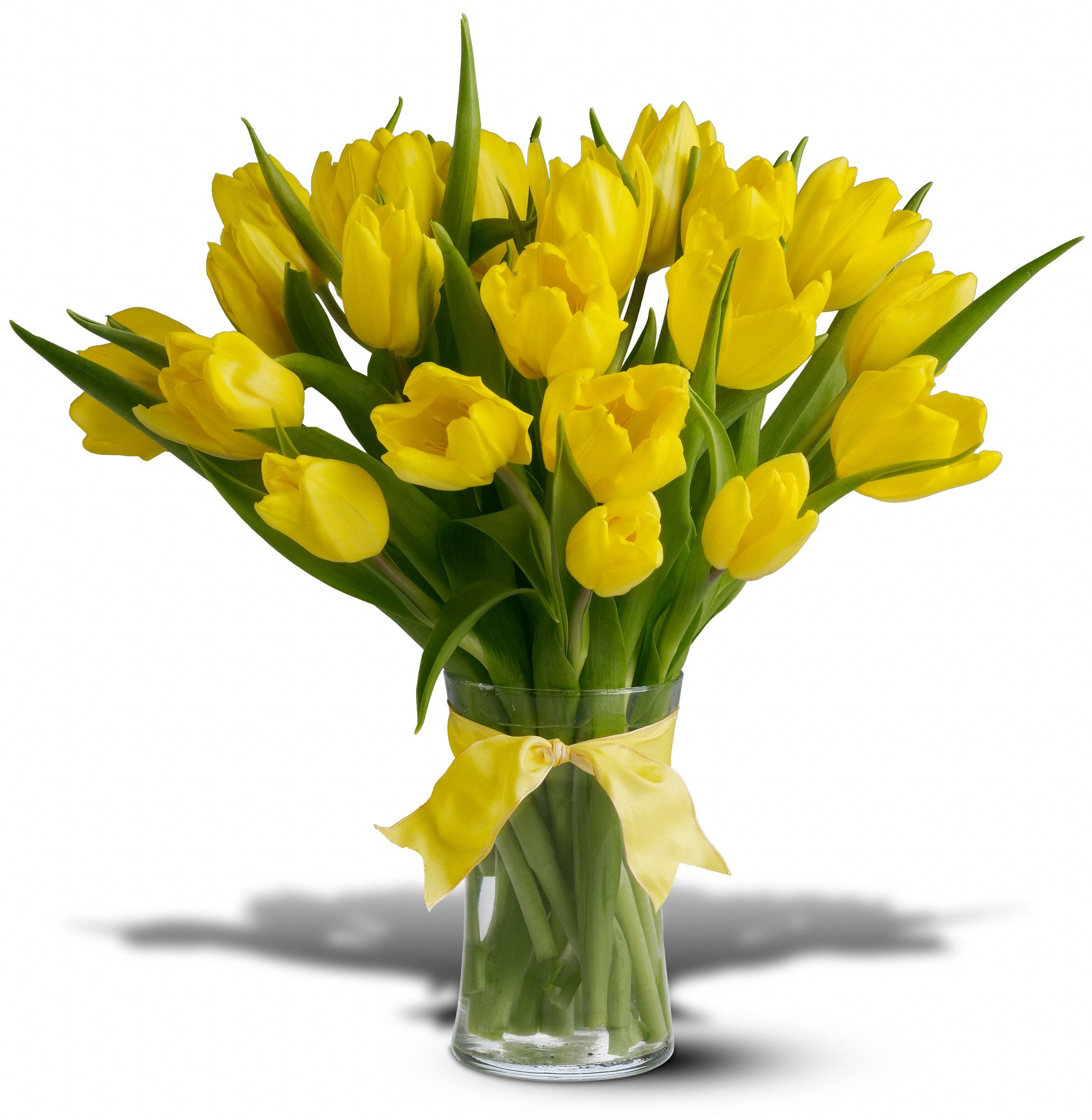 Spring Tulips Deluxe - Yellow in Houston - Cypress - Spring&nbsp;TX, Wildflower & Cypress Florists
