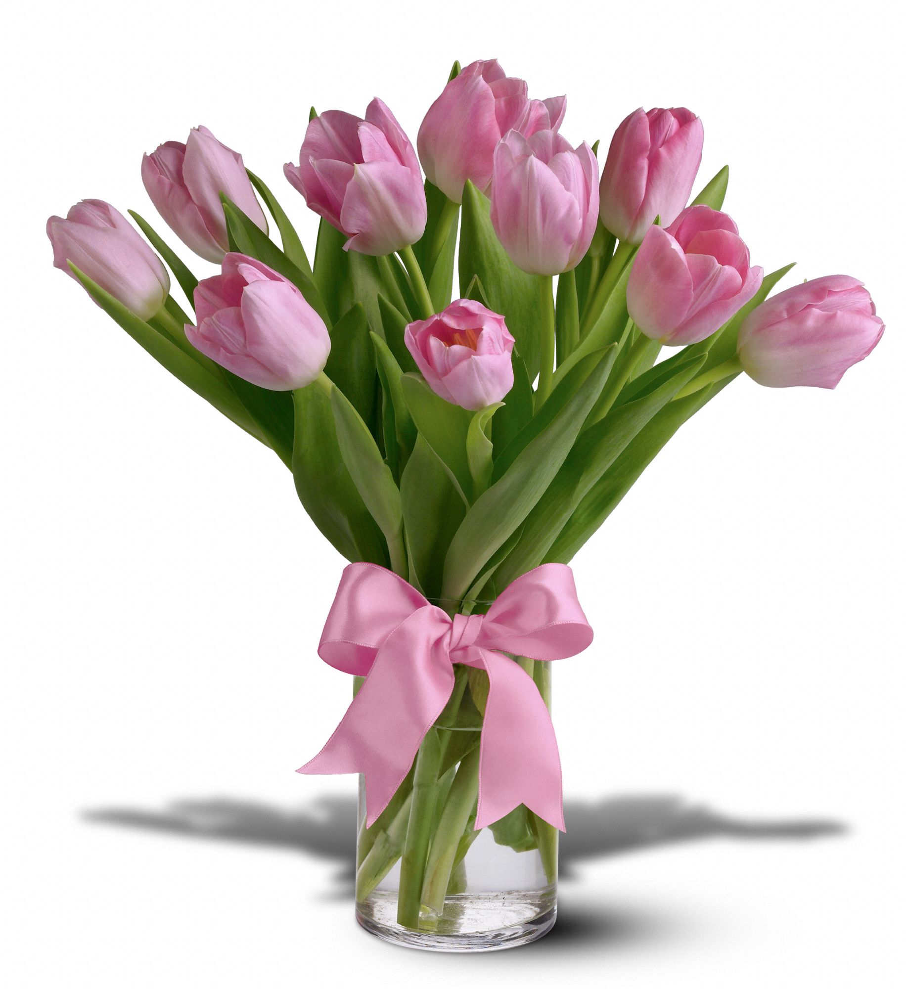 Spring Tulips - Light Pink graphic