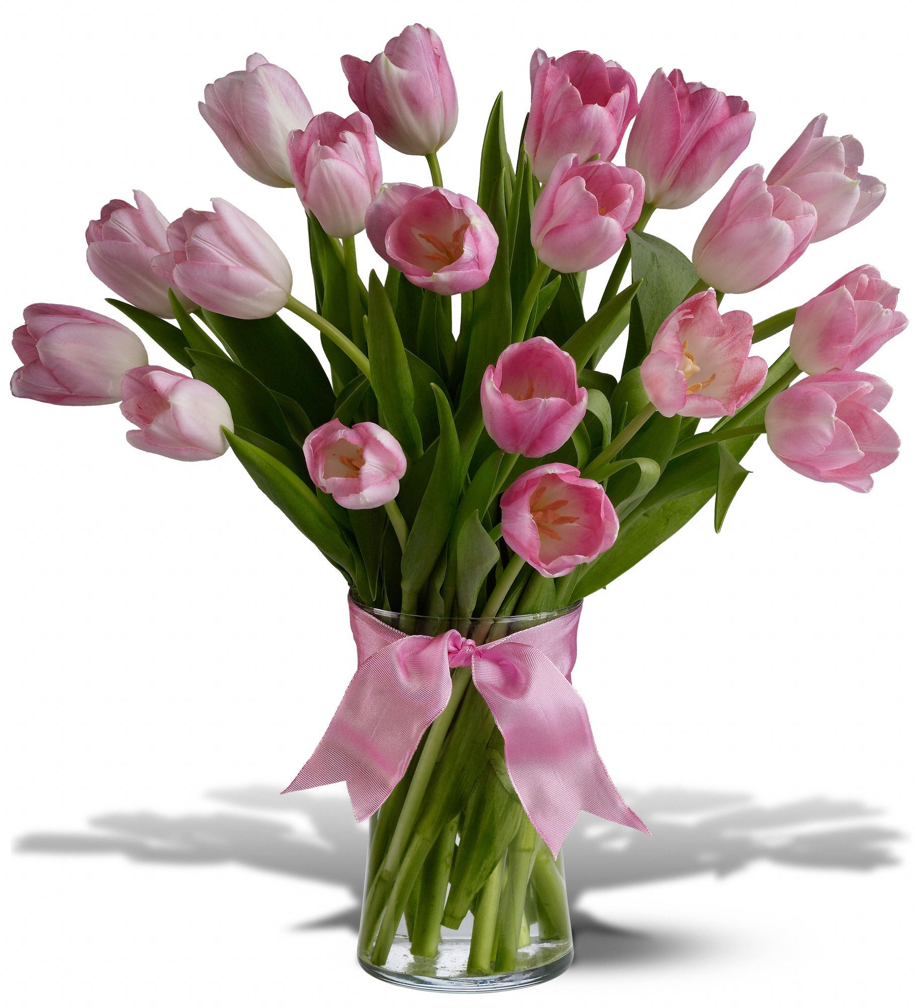 Spring Tulips Deluxe - Light Pink, picture