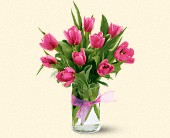 Martin Flowers, Birmingham, Alabama - Spring Tulips - Hot Pink, picture
