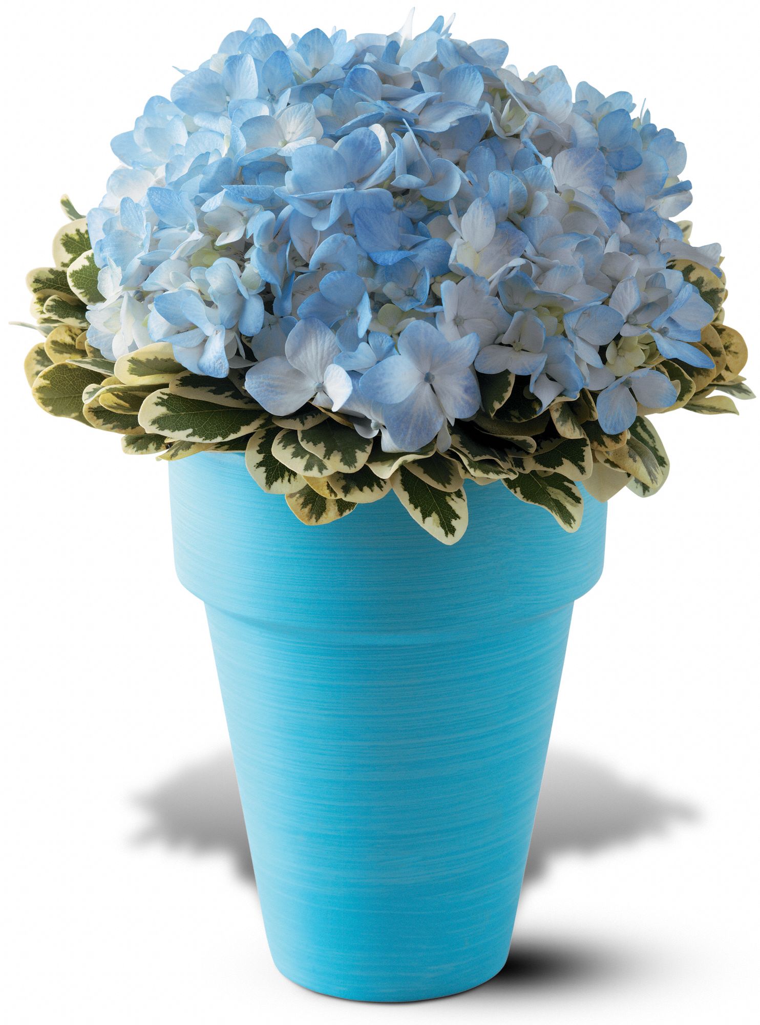 Teleflora's Degas Blue Bouquet in Blackwell&nbsp;OK, Anytime Flowers