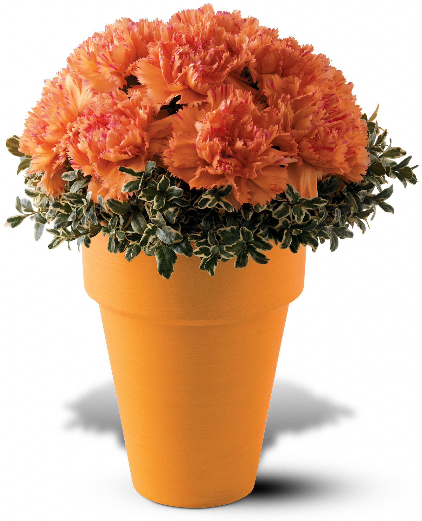 Teleflora's Renoir Orange Bouquet in Blackwell&nbsp;OK, Anytime Flowers