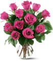 12 Hot Pink Roses in Parma OH Ed Pawlak & Son Florists