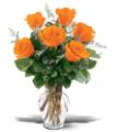 6 Orange Roses in Parma OH Ed Pawlak & Son Florists