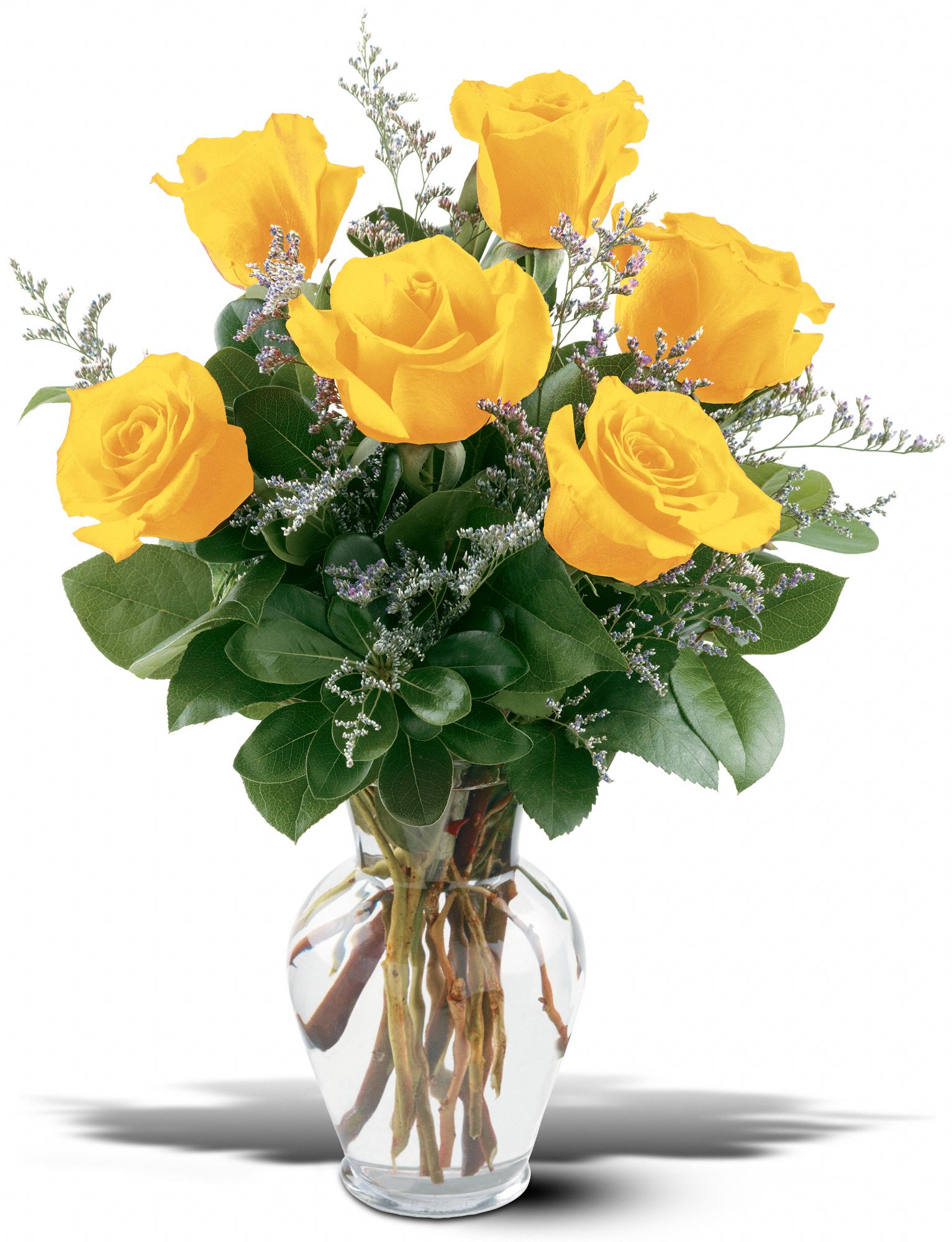6 Yellow Roses graphic