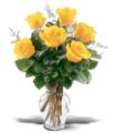 6 Yellow Roses in Parma OH Ed Pawlak & Son Florists