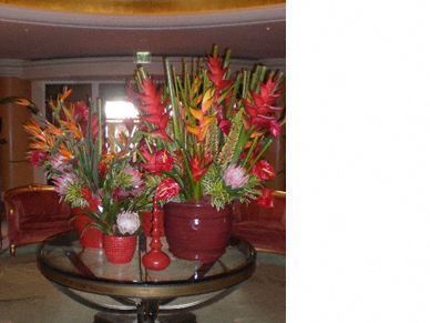 Flowers at Beverly Hills Hotel