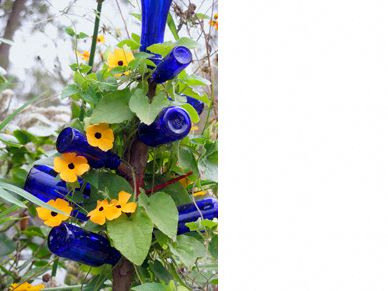 Bottle tree