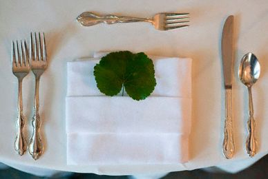Galax leaf at a place setting
