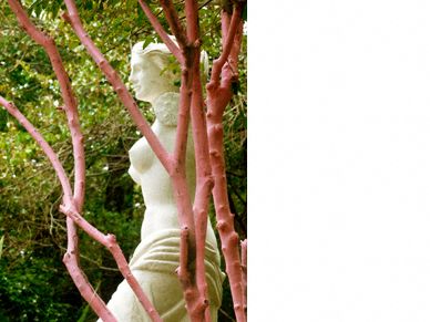 Painted Garden