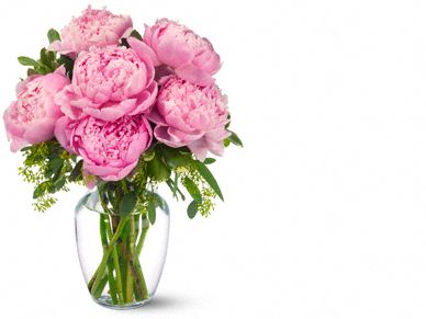 Pink Peonies