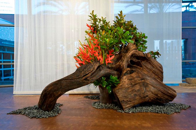 Joshua White ikebana photo